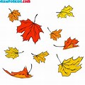 Maple Leaf Drawing Falling