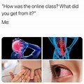 Meme About Online Learning