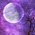 Moon and Stars Wallpaper Purple and Blue