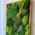 Moss Wall Painting