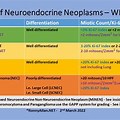 Neuroendocrine Tumor Grade