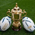 New Zealand Rugby World Cup Trophy