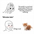 OMG a Cat Wojak Meme