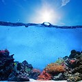 Ocean Floor Underwater Scene during Water Sprout