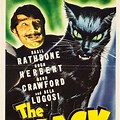 Old Black Cat Movie