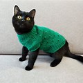 Old Woman Knitting Cat Sweater