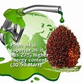 Palm Oil Biofuel