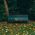 Park Bench 4K Pictures