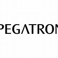 Pegatron India Logo