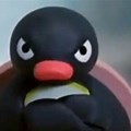 Pingu Angry Penguin Meme