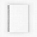 Plain Spiral Notebook