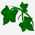 Poison Ivy Plant Clip Art