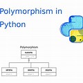 Polymorphism Python Examples