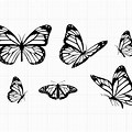 Pond Butterfly Stencil Drawing