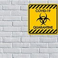 Quarantine Background for Zoom