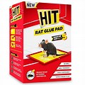 Rat Killer Glue Pad