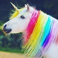 Real Baby Unicorn Rainbow
