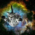 Real Me Space Cat Wallpaper