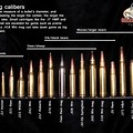 Rifle Caliber Sizes Smallest to Largest