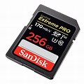 SanDisk Flash Memory Card
