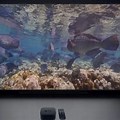 Screensaver Apple TV Fish Underwater