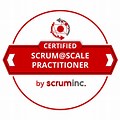 Scrum at Scale Badge