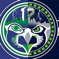 Seahawks Old vs New Logo