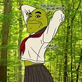 Shrek Anime Girl Memes