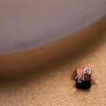 Smallest Computer in the World Next to a Grain of Rice
