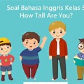 Soal Bahasa Inggris How Tall Are You