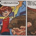 Sonic Meets a Real Hedgehog