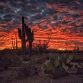 Sonoran Desert Sky