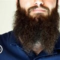 Split Beard Pattren