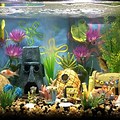 Spongebob Aquarium Fish Bowl