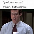 Stress Release Structure MEMS