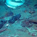 Submarine Missing Titanic Bodies