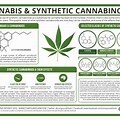 Synethic Cannabinoids
