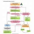 Systematic Approach Algorithm CPR
