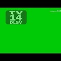 Telemundo TV-14 Dlsv CC Bug