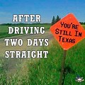 Texas Postcard Art Funny