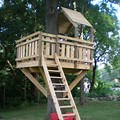 The Biggest Tree House for Kids