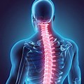 Thoracic Spine Middle Back Pain