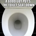 Toilet Seat Down Meme