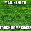 Touch Grass Where Meme