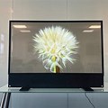 Transparent OLED Monitor