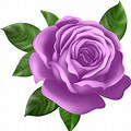 Transparent Purple Rose Clip Art