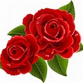 Transparent Red Rose Flower Clip Art