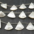 Triangle Mother of Pearl Shell