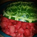 Turtle Shell Watermelon