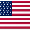 USA Flag No Background